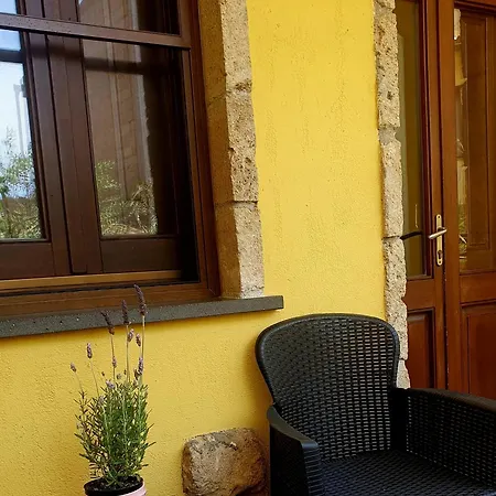 Palmas Anna's Is Procilis 4*