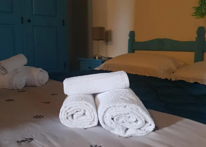 Palmas Anna's Is Procilis 4*