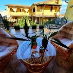 Palmas Anna's Is Procilis 4*