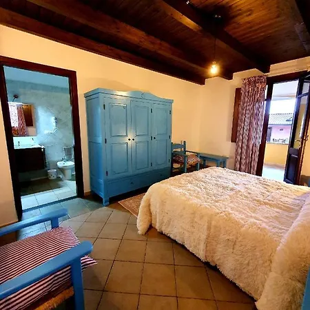 Palmas Anna's Is Procilis Palmas Arborea