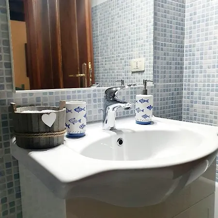 Palmas Anna's Is Procilis 4*