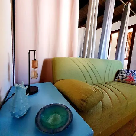 Palmas Anna's Is Procilis 4*