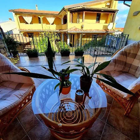 Palmas Anna's Is Procilis 4*