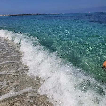 Palmas Anna's Is Procilis 4*