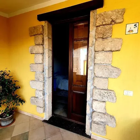 Palmas Anna's Is Procilis Palmas Arborea