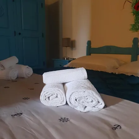 Palmas Anna's Is Procilis 4*