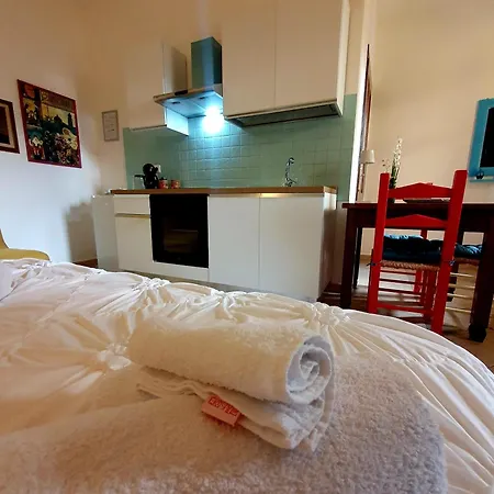 Palmas Anna's Is Procilis 4*
