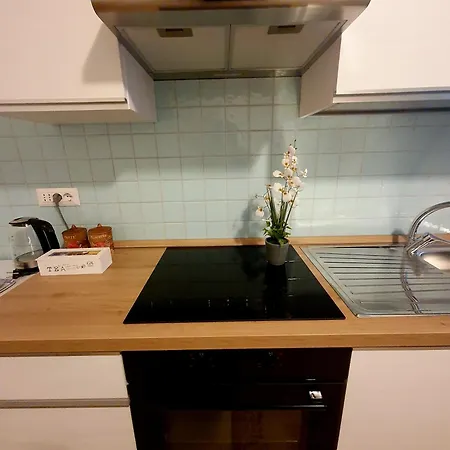 Palmas Anna's Is Procilis 4*