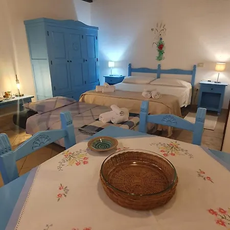 Palmas Anna's Is Procilis 4*