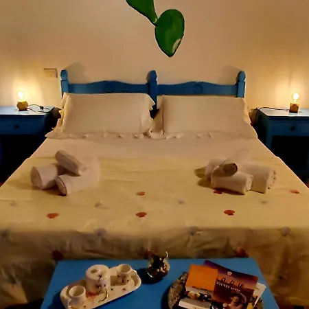 Palmas Anna's Is Procilis 4*