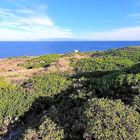 Bed & Breakfast Palmas Anna's Is Procilis Palmas Arborea