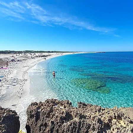 Palmas Anna's Is Procilis 4*