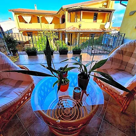 Palmas Anna's Is Procilis 4*