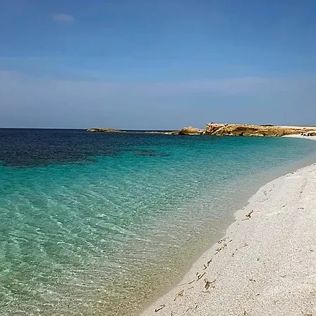 Palmas Anna's Is Procilis 4*