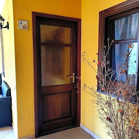 Palmas Anna's Is Procilis 4*