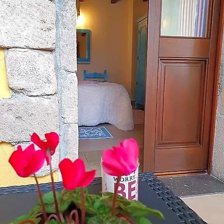 Palmas Anna's Is Procilis 4*