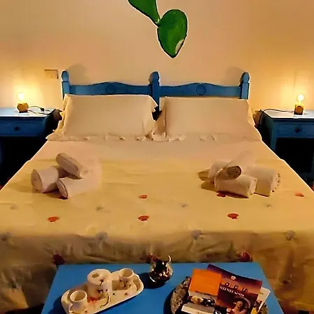 Palmas Anna's Is Procilis 4*